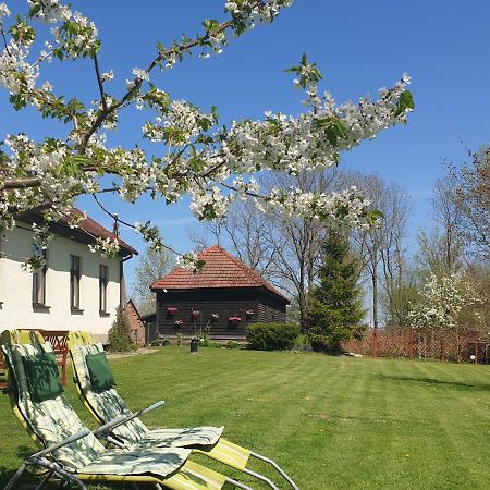 Folwark Goscino-Dwor Bed & Breakfast Екстериор снимка