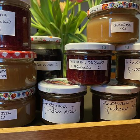 Folwark Goscino-Dwor Bed & Breakfast Екстериор снимка