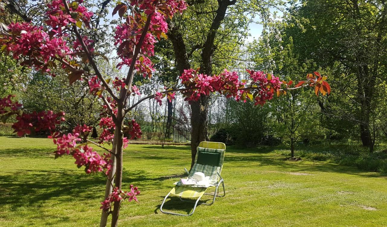 Folwark Goscino-Dwor Bed & Breakfast Екстериор снимка